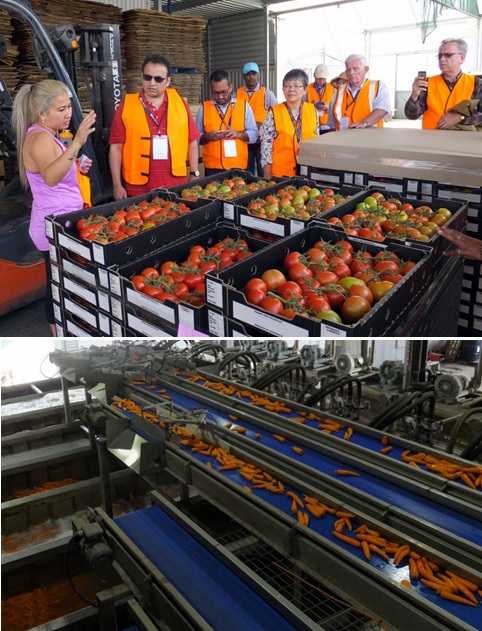 APO delegates taking a tour of the H&L Hydroponics Pt. Ltd. facility as part of the study mission in South Australia to understand the best practices and innovations that can be replicated and applied to increase productivity and profitability of the agriculture sector in their respective countries.