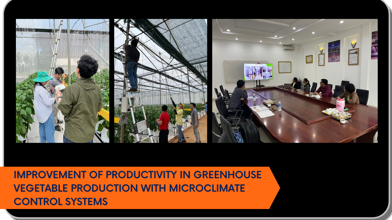 Improvement of Productivity in Greenhouse Vegetable Production with Microclimate Control Systems