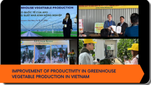Improvement of Productivity in Greenhouse Vegetable Production in Vietnam